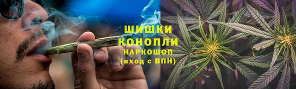 ПСИЛОЦИБИНОВЫЕ ГРИБЫ Алексеевка
