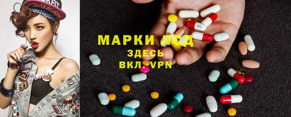 прущие крисы Абаза