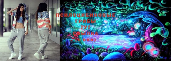 спайс Алексин