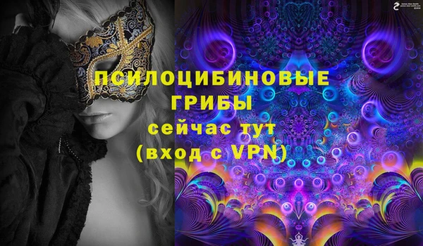 ПСИЛОЦИБИНОВЫЕ ГРИБЫ Алексеевка