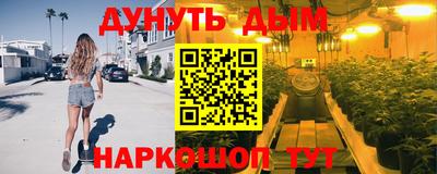прущие грибы Краснодар