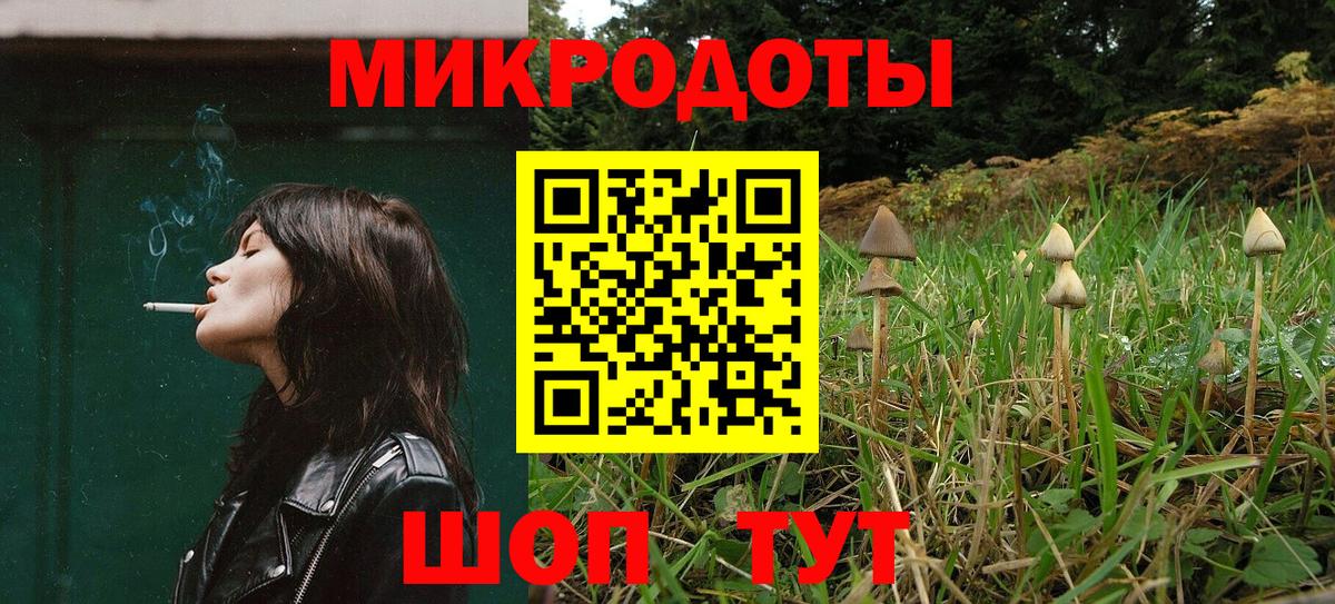 Псилоцибиновые грибы Psilocybine cubensis Уварово